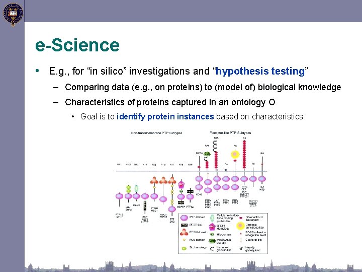 e-Science • E. g. , for “in silico” investigations and “hypothesis testing” – Comparing