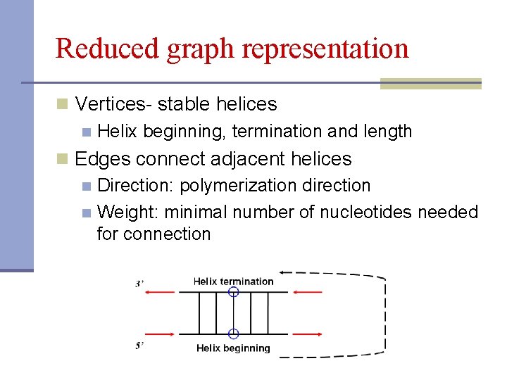 Reduced graph representation n Vertices- stable helices n Helix beginning, termination and length n