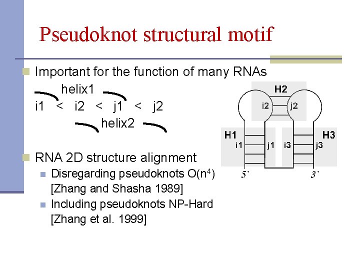 Pseudoknot structural motif n Important for the function of many RNAs helix 1 i
