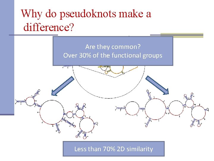 Why do pseudoknots make a difference? Are they common? Over 30% of the functional