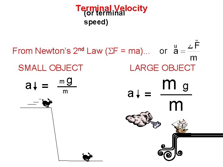 Terminal Velocity (or terminal speed) Why do objects fall at the same rate, in