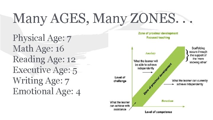 Many AGES, Many ZONES. . . Physical Age: 7 Math Age: 16 Reading Age: