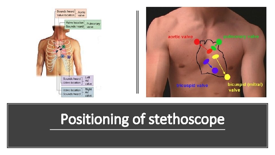 Positioning of stethoscope 