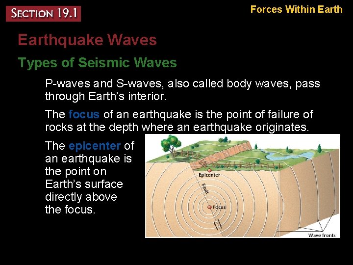 Forces Within Earthquake Waves Types of Seismic Waves – P-waves and S-waves, also called