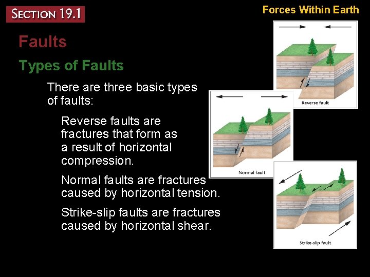 Forces Within Earth Faults Types of Faults – There are three basic types of