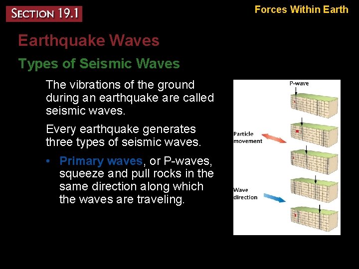 Forces Within Earthquake Waves Types of Seismic Waves – The vibrations of the ground
