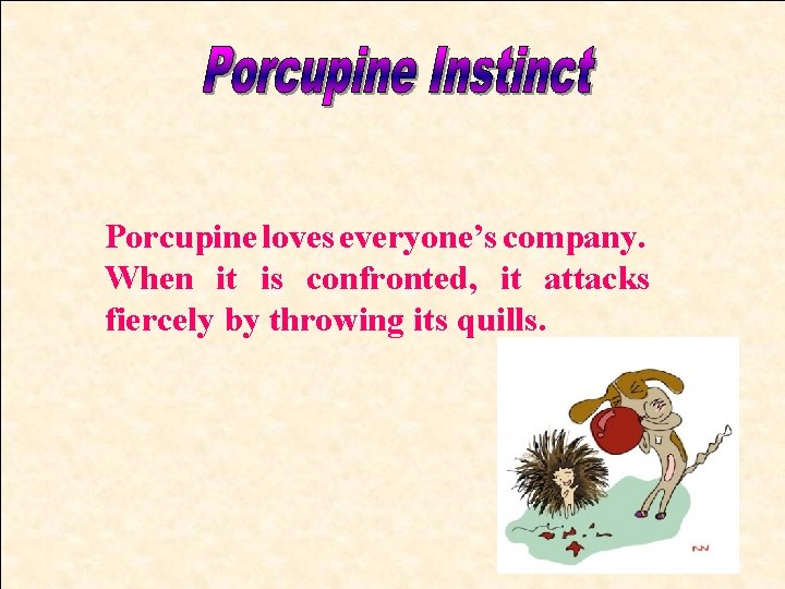 Porcupine loves everyone’s company. When it is confronted, it attacks fiercely by throwing its