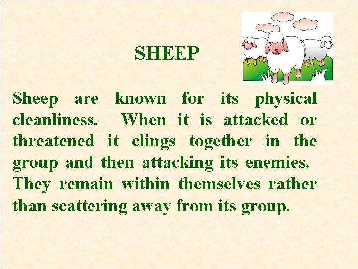 SHEEP Sheep are known for its physical cleanliness. When it is attacked or threatened