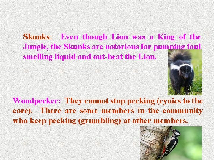 Skunks: Even though Lion was a King of the Jungle, the Skunks are notorious