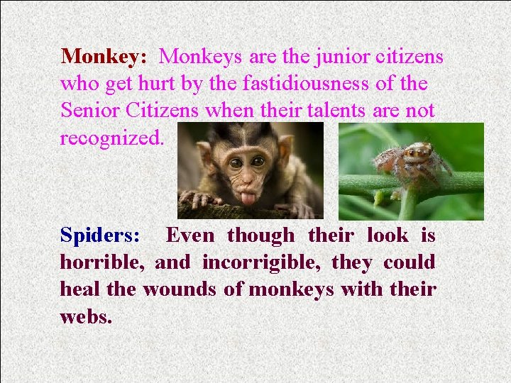 Monkey: Monkeys are the junior citizens who get hurt by the fastidiousness of the