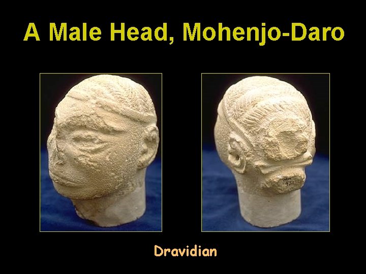 A Male Head, Mohenjo-Daro Dravidian 