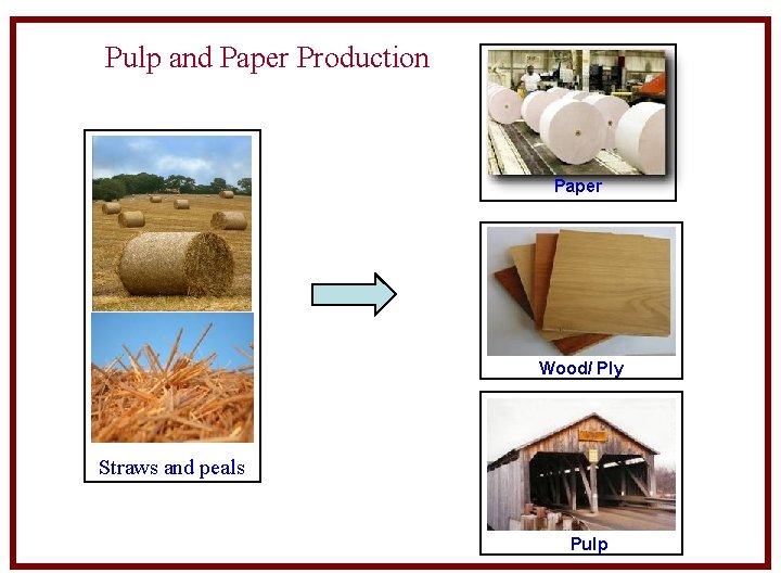 Pulp and Paper Production Paper Wood/ Ply Straws and peals Pulp 