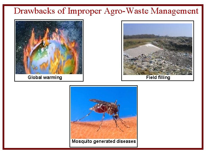 Drawbacks of Improper Agro-Waste Management Global warming Field filling Mosquito generated diseases 