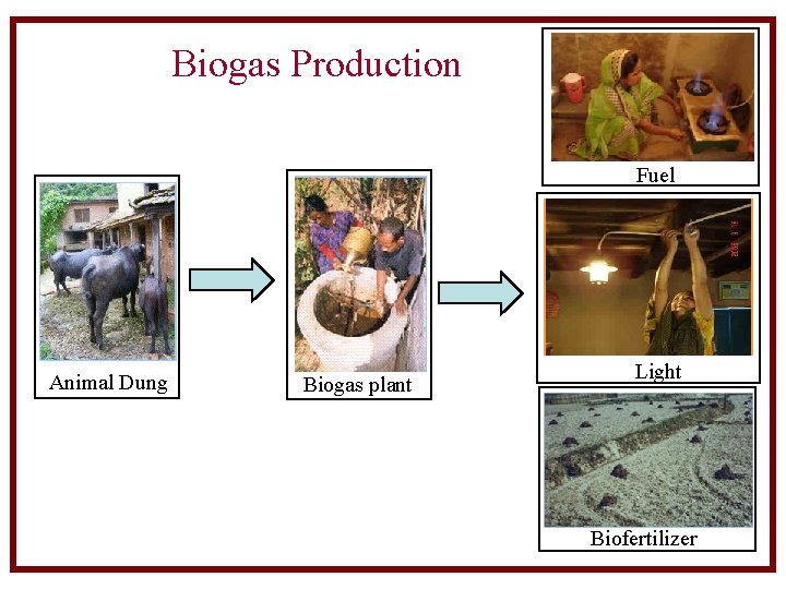 Biogas Production Fuel Animal Dung Biogas plant Light Biofertilizer 