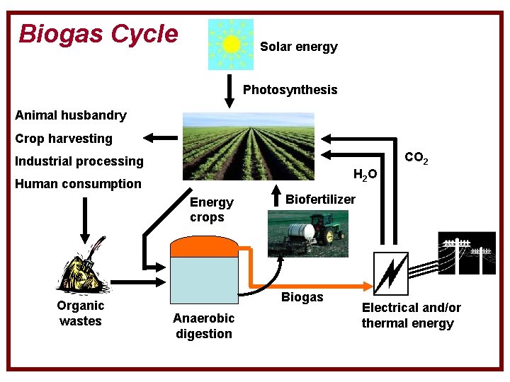 Biogas Cycle Solar energy Photosynthesis Animal husbandry Crop harvesting CO 2 Industrial processing H