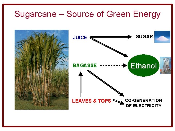 Sugarcane – Source of Green Energy JUICE BAGASSE LEAVES & TOPS SUGAR Ethanol CO-GENERATION