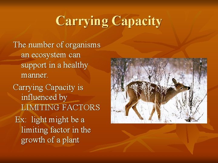 Carrying Capacity The number of organisms an ecosystem can support in a healthy manner.