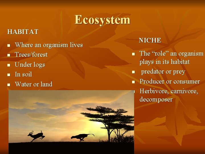 Ecosystem HABITAT n n n Where an organism lives Trees/forest Under logs In soil