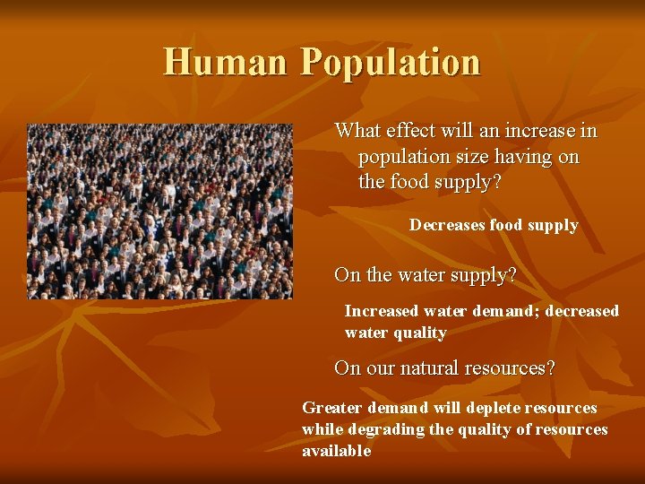 Human Population What effect will an increase in population size having on the food