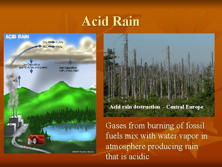 Acid Rain Acid rain destruction - Central Europe Gases from burning of fossil fuels