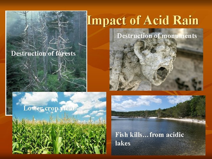 Impact of Acid Rain Destruction of monuments Destruction of forests Lower crop yield Fish