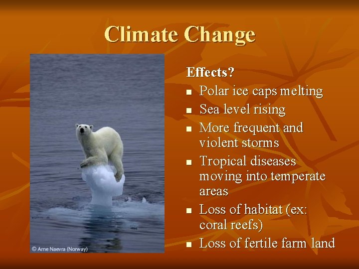 Climate Change Effects? n Polar ice caps melting n Sea level rising n More
