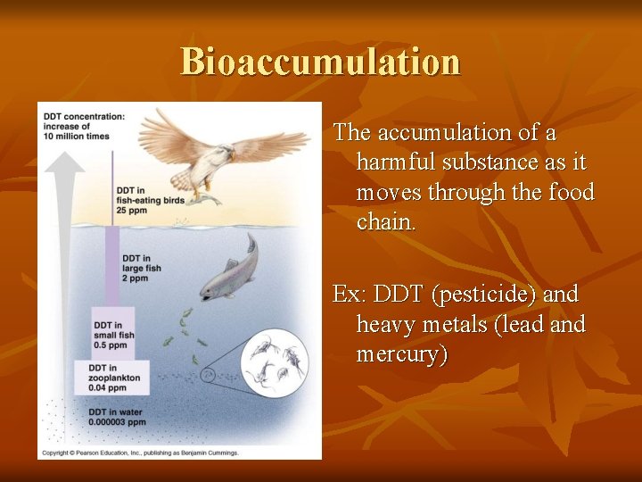 Bioaccumulation The accumulation of a harmful substance as it moves through the food chain.