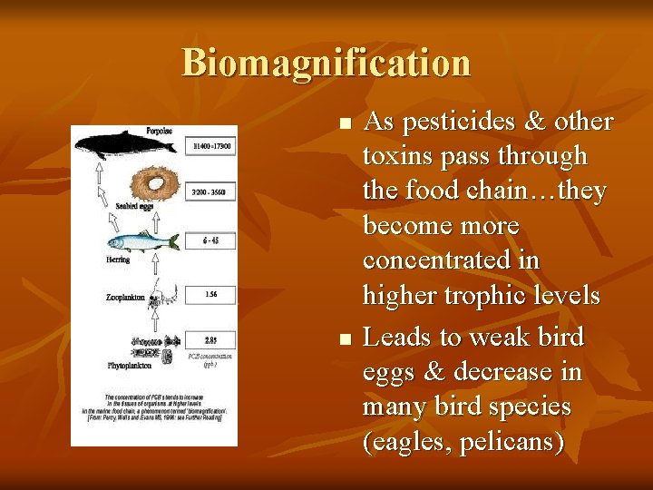 Biomagnification n n As pesticides & other toxins pass through the food chain…they become