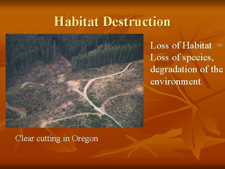 Habitat Destruction Loss of Habitat = Loss of species, degradation of the environment. Clear