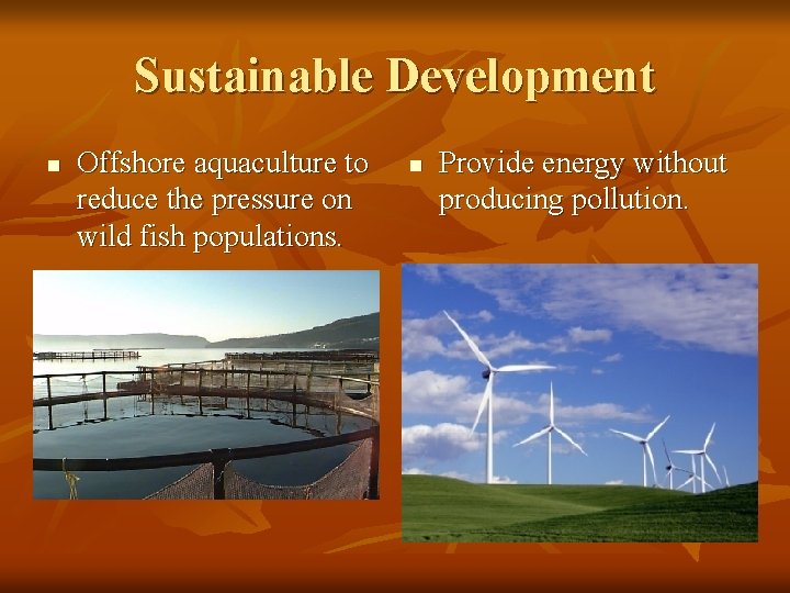 Sustainable Development n Offshore aquaculture to reduce the pressure on wild fish populations. n