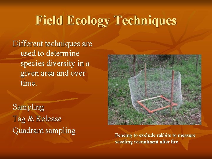 Field Ecology Techniques Different techniques are used to determine species diversity in a given