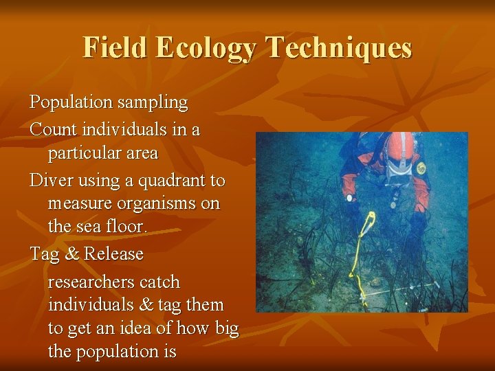 Field Ecology Techniques Population sampling Count individuals in a particular area Diver using a