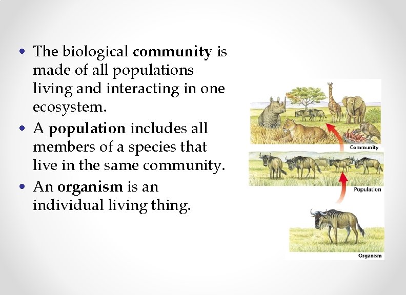  • The biological community is made of all populations living and interacting in