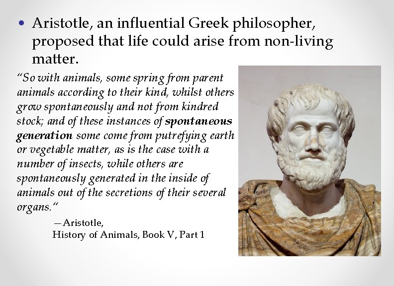 • Aristotle, an influential Greek philosopher, proposed that life could arise from non-living