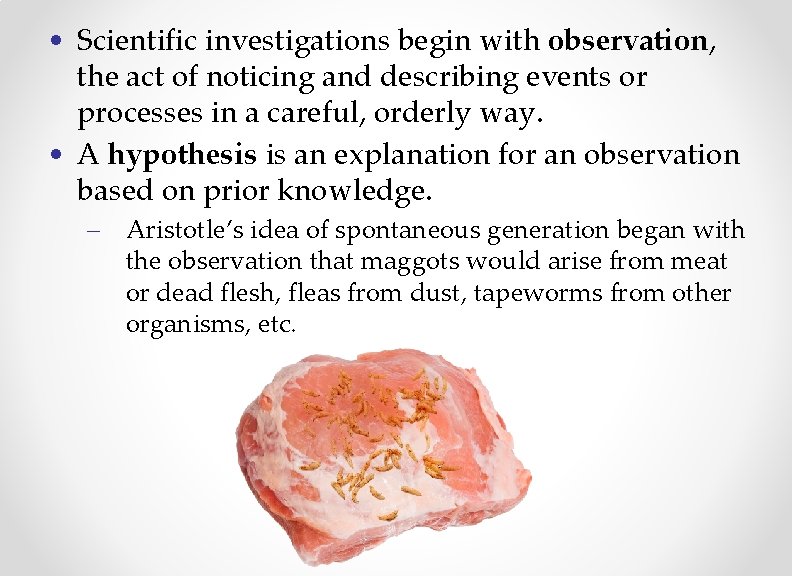  • Scientific investigations begin with observation, the act of noticing and describing events