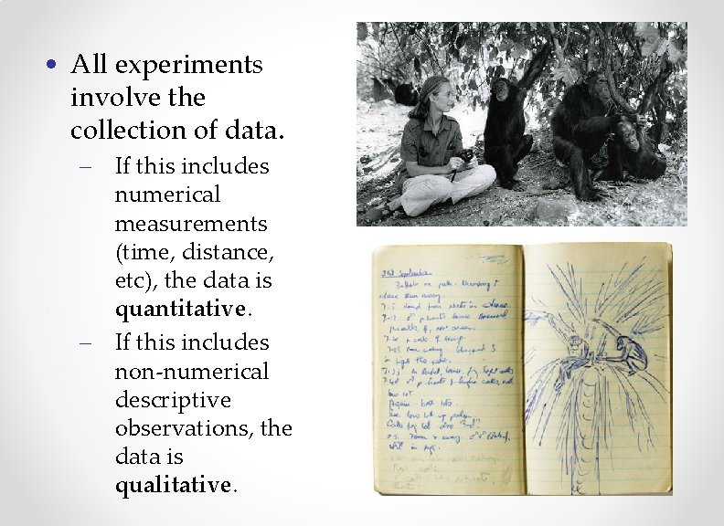  • All experiments involve the collection of data. – If this includes numerical