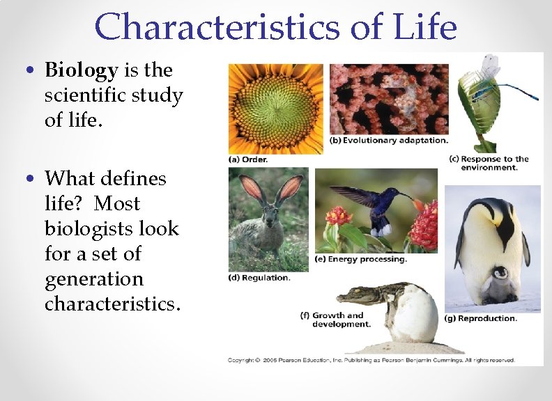 Characteristics of Life • Biology is the scientific study of life. • What defines