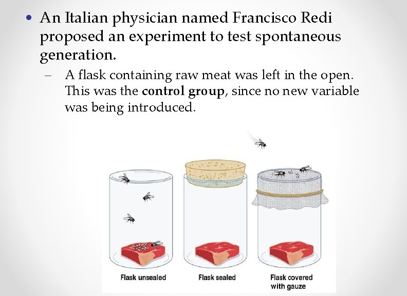  • An Italian physician named Francisco Redi proposed an experiment to test spontaneous