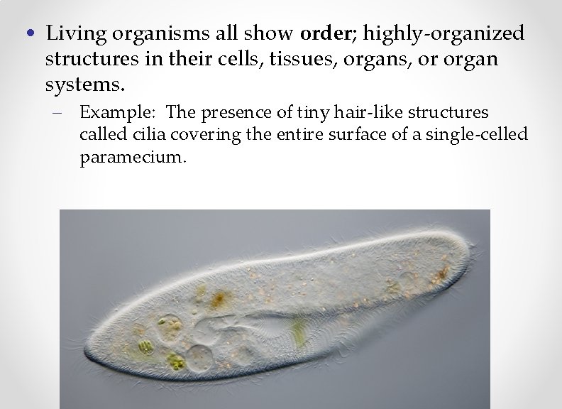  • Living organisms all show order; highly-organized structures in their cells, tissues, organs,