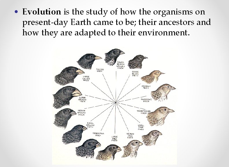  • Evolution is the study of how the organisms on present-day Earth came