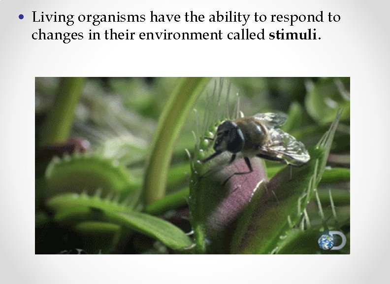  • Living organisms have the ability to respond to changes in their environment
