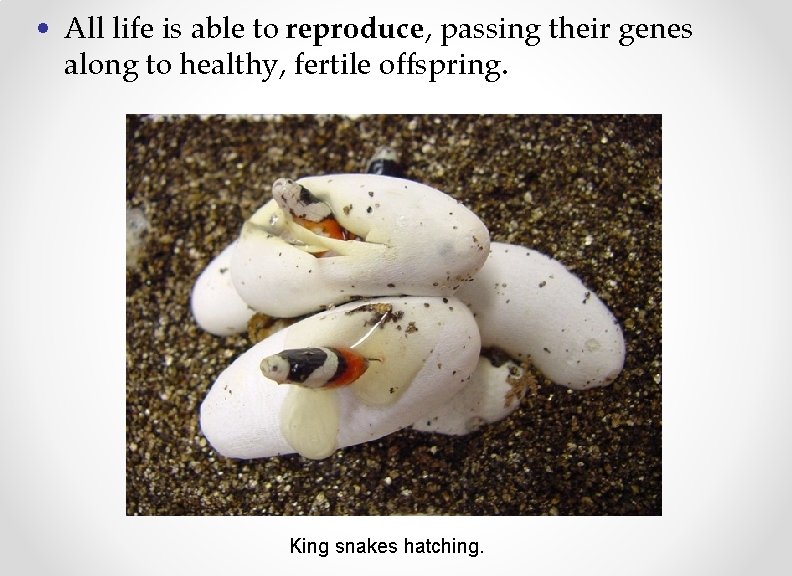  • All life is able to reproduce, passing their genes along to healthy,