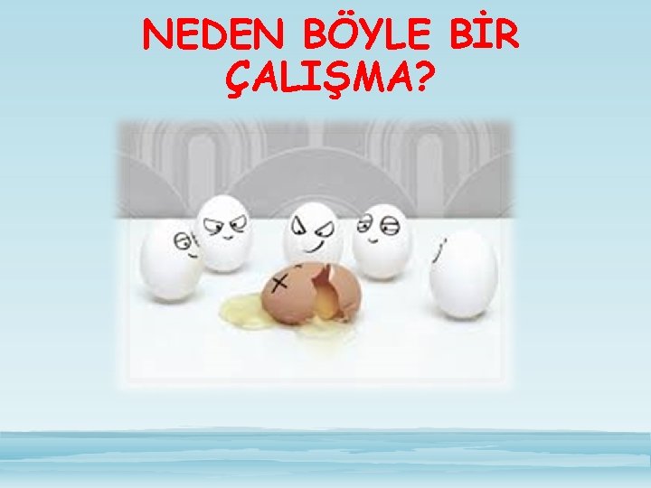 NEDEN BÖYLE BİR ÇALIŞMA? 