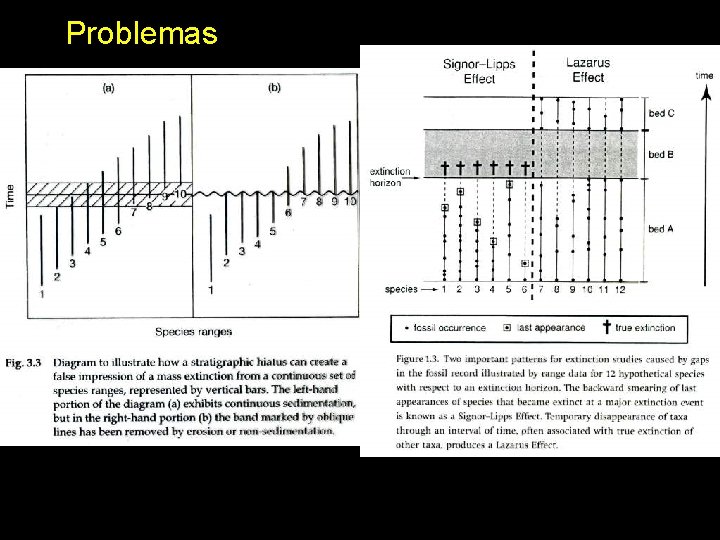 Problemas 