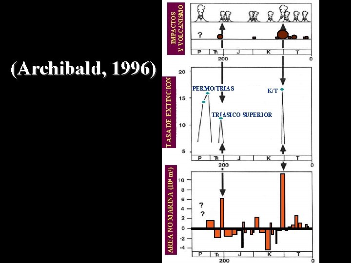 AREA NO MARINA (106 m 2) TASA DE EXTINCION (Archibald, 1996) PERMO/TRIAS K/T TRIASICO