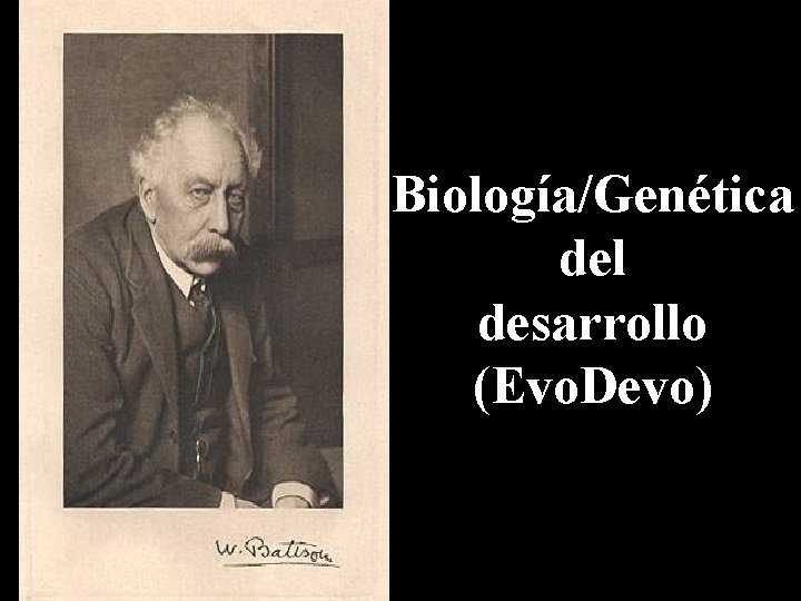 Biología/Genética del desarrollo (Evo. Devo) 