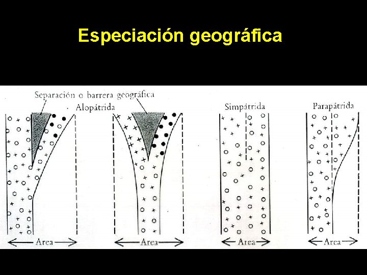 Especiación geográfica 