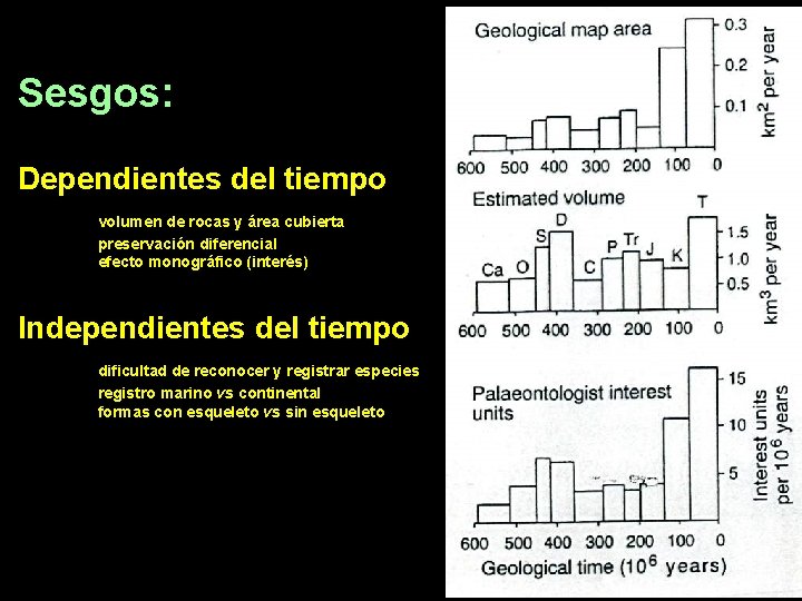 Sesgos: Dependientes del tiempo volumen de rocas y área cubierta preservación diferencial efecto monográfico
