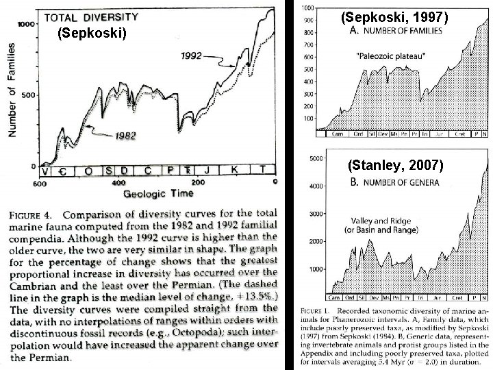 (Sepkoski, 1997) (Sepkoski) (Stanley, 2007) 