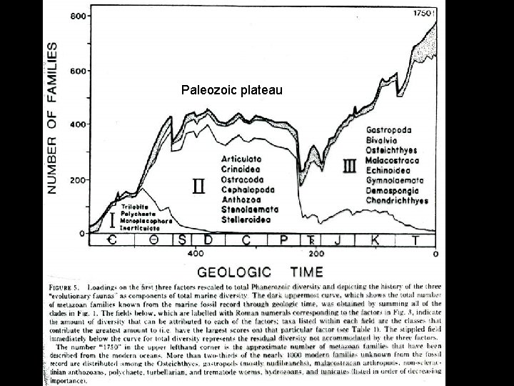 Paleozoic plateau 